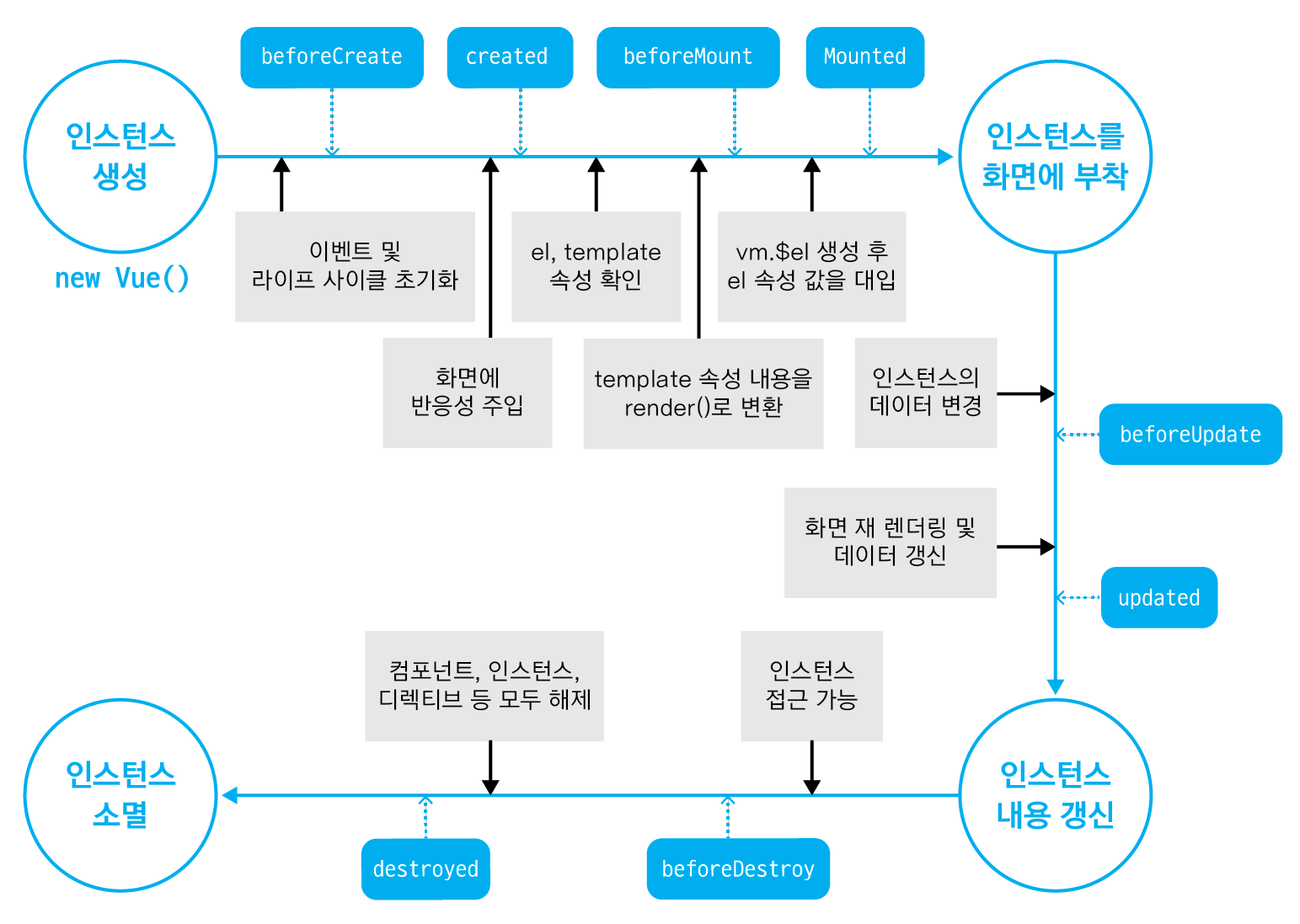 lifecycle